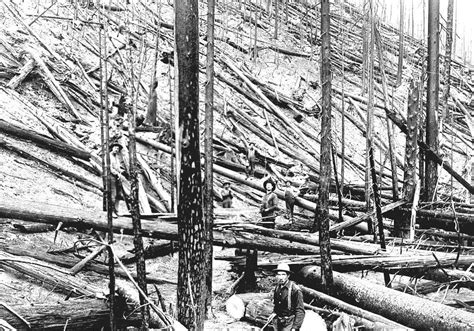 Great Fire Of 1910 Idaho Forest Fires Current