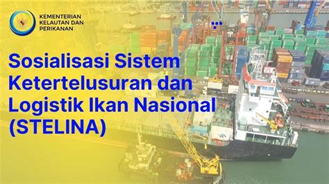 Sosialisasi Sistem Keterteusuran Dan Logistik Ikan Nasional Stelina