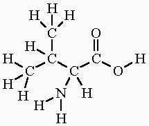 Valine Formula Structure