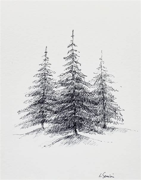 Trees Art Print Tree Ink Sketch Print Pine Tree Drawing Minimalist