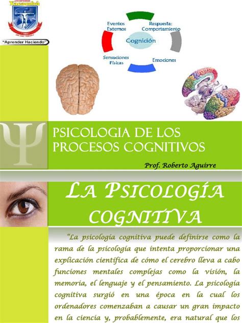 Psicologia De Los Procesos Cognitivos Pdf Memoria Sicología