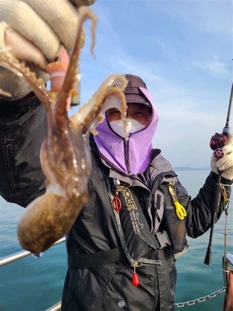 11월15일 뉴대성호 주꾸미조황 조황정보 클럽씨피싱