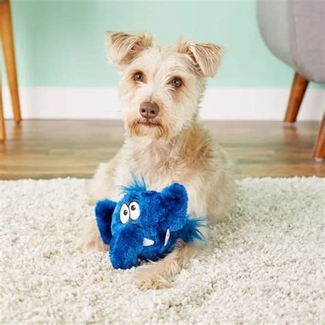 Jouet Pour Petit Et Grand Chien Avec Bruiteur Jouets Chiens