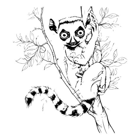 Premium Vector Black And White Vector Illustration Of A Lemur Sitting On A Tree Branch