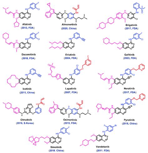 Chemical Structure Of The Approved Egfr Inhibitors Download