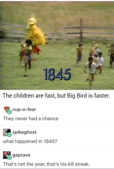 Big Bird Meme 1845