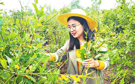 利用资源优势 推进乡村产业振兴 随州市人民政府门户网站