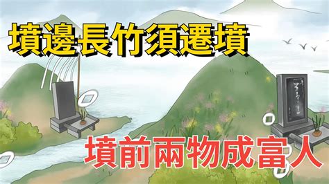 俗話說“墳邊長竹須遷墳，墳前兩物成富人”什麼意思，有道理嗎？【知禮國學】俗話說 國學 文化 俗語 墳邊長竹須遷墳墳前兩物成富人