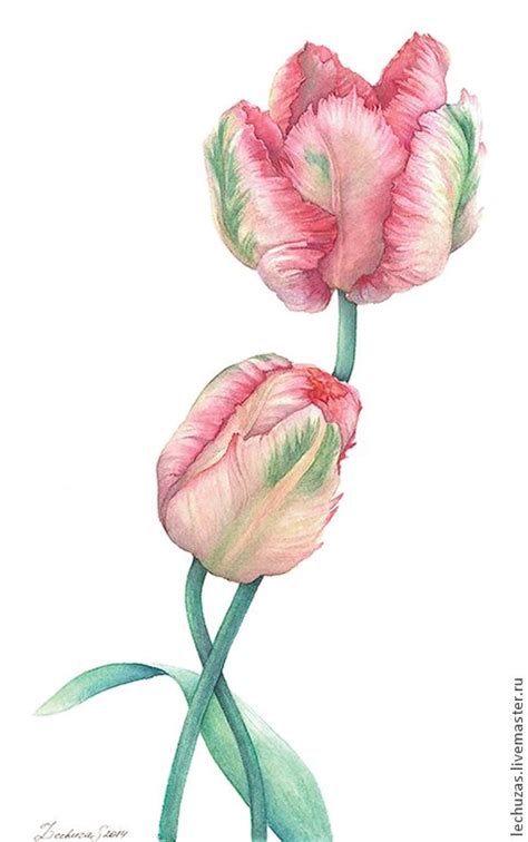 Картина акварелью. Вместе. Тюльпаны | Watercolor tulips, Flower art ...