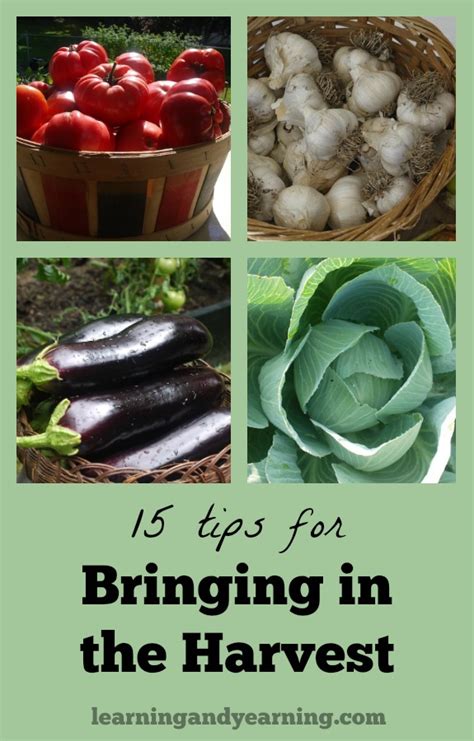 15 Tips for Bringing in the Harvest