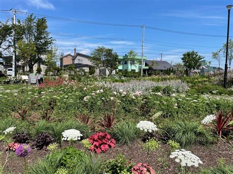 ガーデンフェスタ北海道2022 In恵庭に行ってきました｜しのあや 紅里こうり