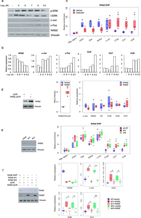 Nr0b2 Has An Important Role In The Dynamic Regulation Of Inflammatory