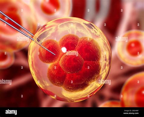 Genetic Engineering Gmo And Gene Manipulation Concept Hi Tech