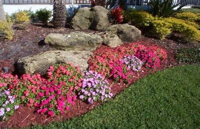 How to Landscape with Coquina Rock