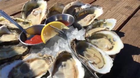 Video Oyster Farming From the Nursery to the Table - ABC News