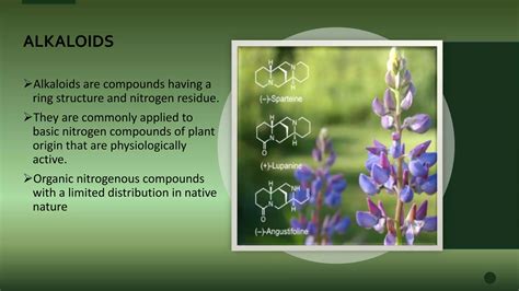 Secondary Metabolites Plants Ppt