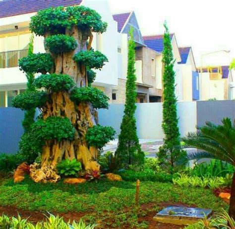 Jenis Dan Harga Bonsai Untuk Taman Rumah Garden Style