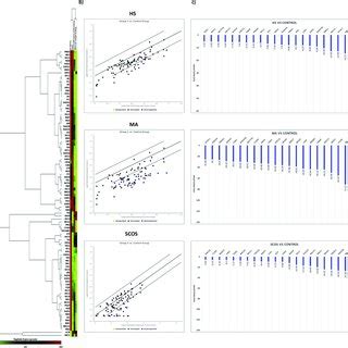 Expression Of Genes Involved In Dna Repair Pathways A Hierarchical