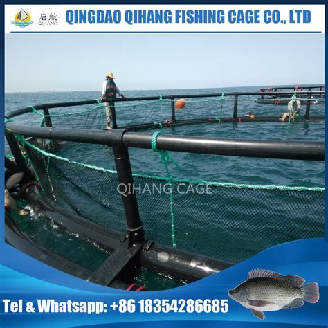 Offshore Fish Farming Cage With Hdpe Floating Pipe China Fish Farming