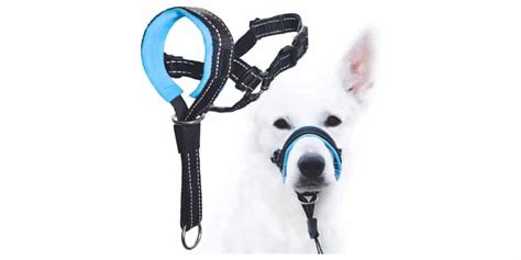 The Best Dog Head Halters In 2021 Petsguided