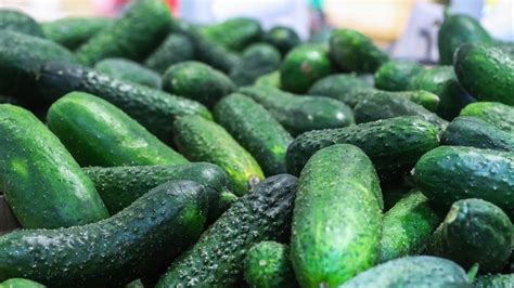 Почему подскочили цены на импортозамещенные огурцы | Кулинарные рецепты ...
