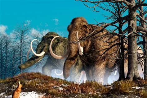 Scientists considering creating elephant-mammoth hybrid to battle against poachers - Mirror Online