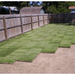 Zoysia Sod Installation - Foxland Lawn Care Services