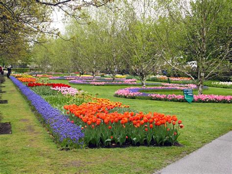 Keukenhof E La Fioritura Dei Tulipani In Olanda Dovevado Net