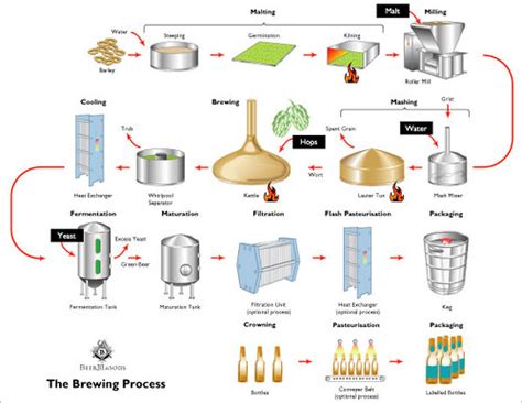 Brewing Process Diagram Brewing Infographic Brewery Alcoholi