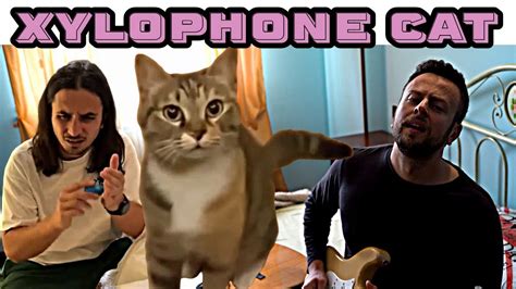 The Kiffness X Spaul Xylophone Cat Singing Cat Collab YouTube