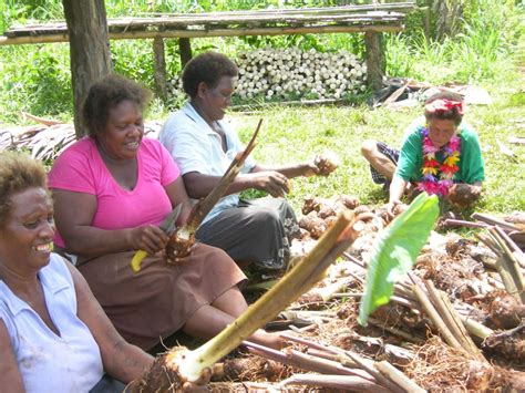 Women S Network Launched In Solomon Islands RNZ News