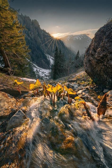 Красивые пейзажи | FotoRelax