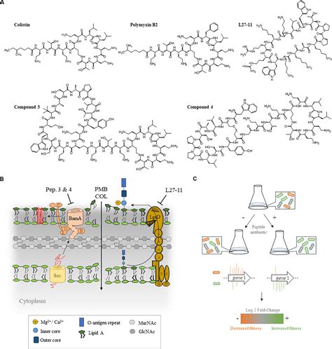 Frontiers Identification Of Genes Required For Resistance To