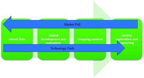 The Two Flows Of Information Market Pull And Technology Push Managed