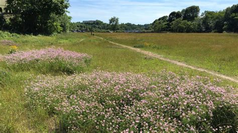 Lead Mills Marblehead Conservancy Inc