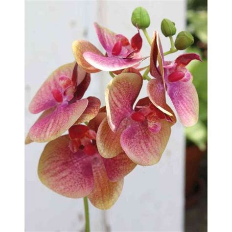 Artificial Phalaenopsis Orchid Spray Ophelia Pink Green 1640cm
