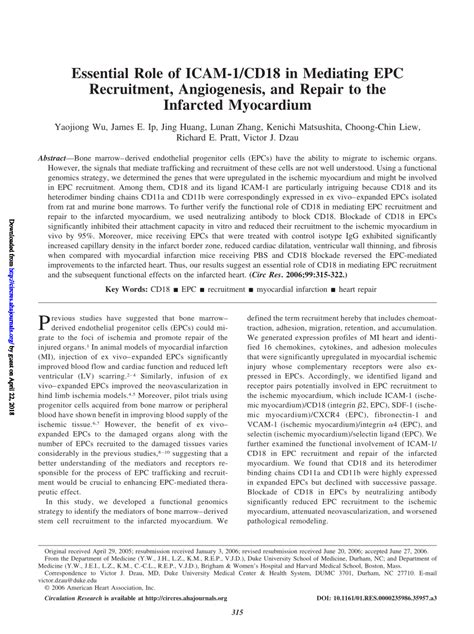 Pdf Essential Role Of Icam Cd In Mediating Epc Recruitment