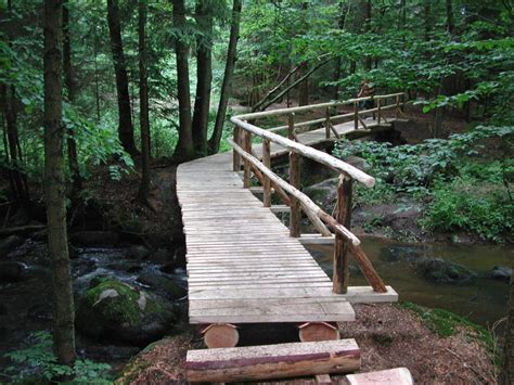 Der Naturpark Oberer Bayerischer Wald Im Bayerischen Wald