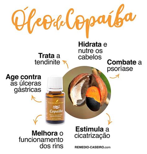 Para Que Serve O óleo De Copaíba Benefícios E Como Usar Oleo De Copaiba Óleo Essencial