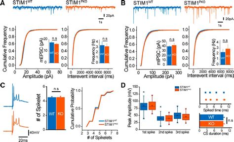 STIM1 Regulates Somatic Ca2 Signals And Intrinsic Firing Properties Of