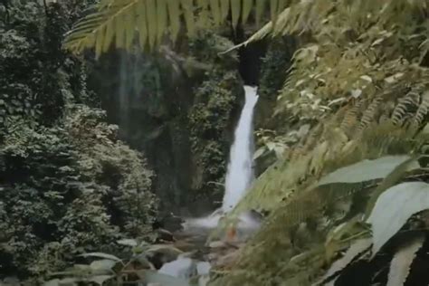 Memahami Keunikan Dan Petualangan Di Air Terjun Tiu Ngumbak Eksplorasi