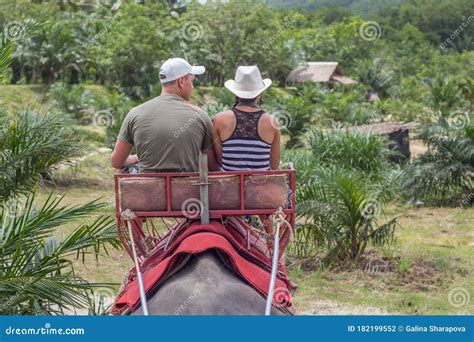 Dos Turistas Viajan En Elefante En El Bosque Al Norte De Tailandia Fotografía Editorial Imagen