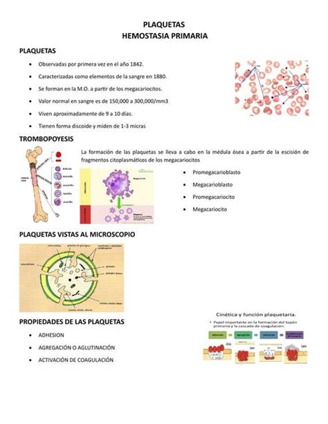 Plaquetas Hemostasia Primaria Y Secundaria Mádelin Dinora Ixcopal