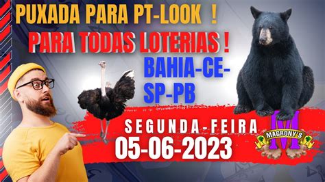 PUXADAS PT LOOK BH CE PB E SP PALPITES 05 06 2023 DO JOGO DO BICHO