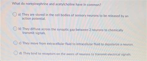 Solved What Do Norepinephrine And Acetylcholine Have In