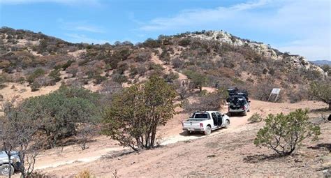 Enfrentamiento En Pinos Zacatecas Deja Muertos Y Detenidos