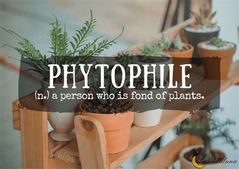 50 Types of Philes and What They Love | Luzdelaluna | Rare words ...