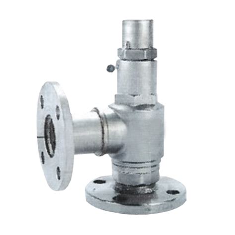 Stainless Steel Safety Valve Ssv Series Product Gauge