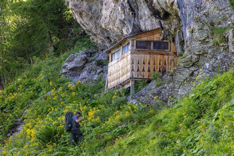 Rencontre Autour Du Film VIVRE AVEC LES LOUPS Quai Des Images