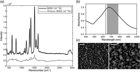 A Comparison Between Surface Enhanced Raman Spectroscopy And Raman